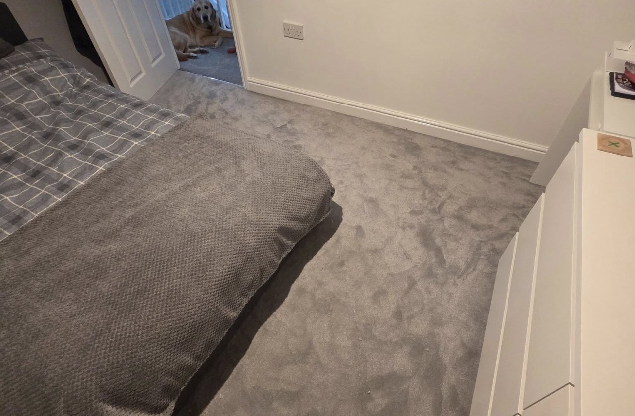Expert Flooring Solutions